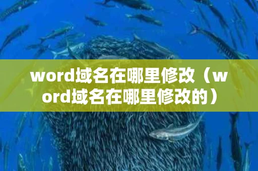 word域名在哪里修改（word域名在哪里修改的）