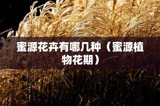 蜜源花卉有哪几种（蜜源植物花期）