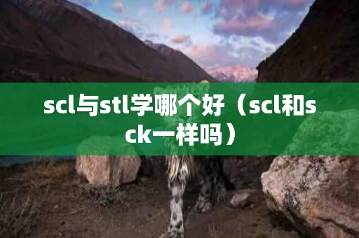 scl与stl学哪个好（scl和sck一样吗）