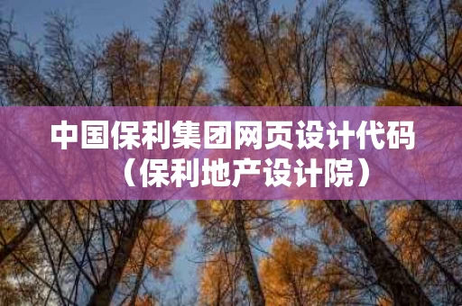 中国保利集团网页设计代码（保利地产设计院）
