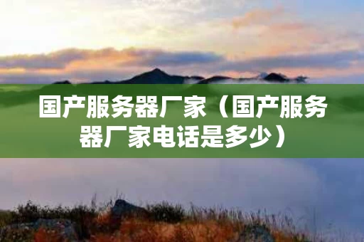 国产服务器厂家（国产服务器厂家电话是多少）