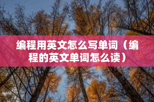 编程用英文怎么写单词（编程的英文单词怎么读）