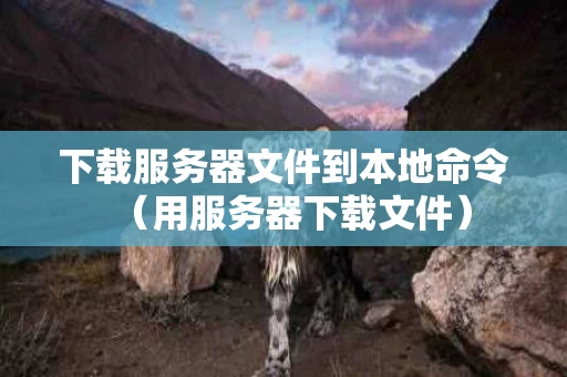 下载服务器文件到本地命令（用服务器下载文件）