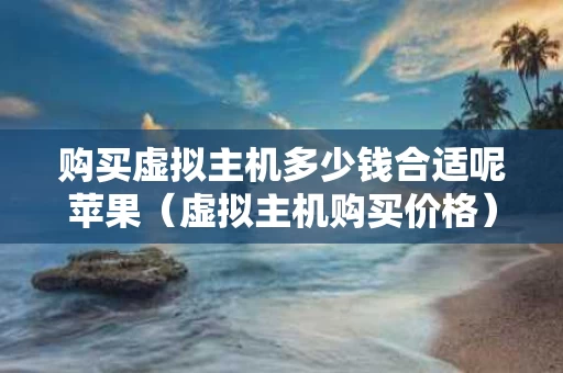 购买虚拟主机多少钱合适呢苹果（虚拟主机购买价格）