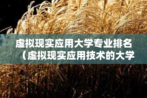 虚拟现实应用大学专业排名（虚拟现实应用技术的大学）
