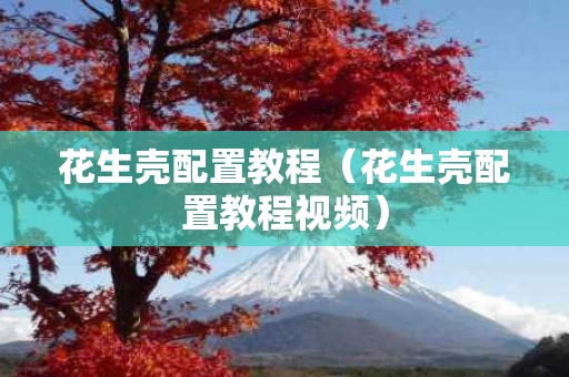 花生壳配置教程（花生壳配置教程视频）