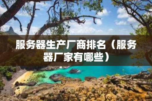 服务器生产厂商排名（服务器厂家有哪些）