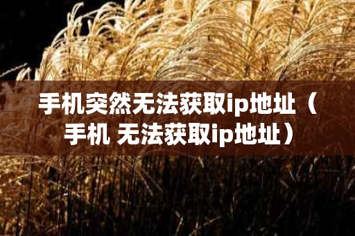 手机突然无法获取ip地址（手机 无法获取ip地址）