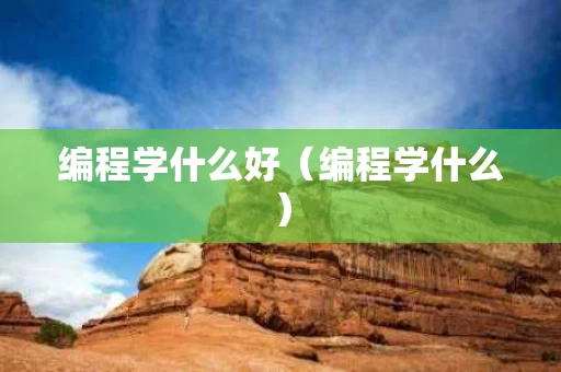 编程学什么好（编程学什么）