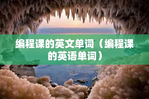 编程课的英文单词（编程课的英语单词）