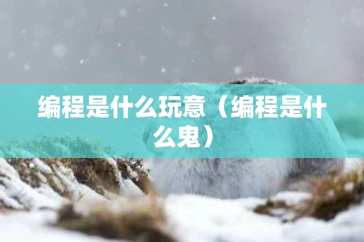 编程是什么玩意（编程是什么鬼）