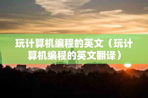 玩计算机编程的英文（玩计算机编程的英文翻译）