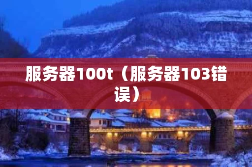 服务器100t（服务器103错误）