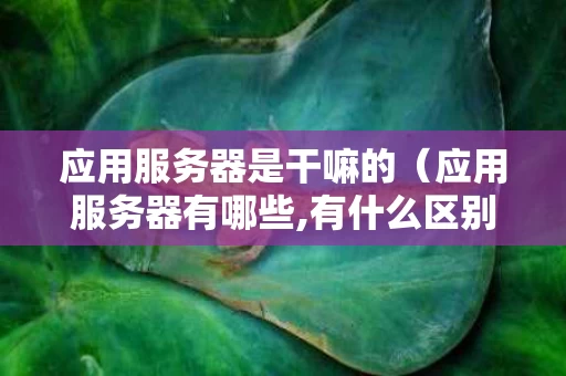 应用服务器是干嘛的（应用服务器有哪些,有什么区别）