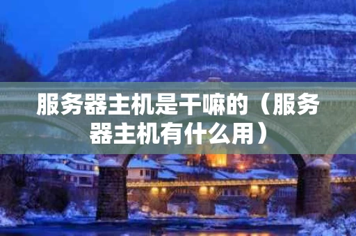 服务器主机是干嘛的（服务器主机有什么用）