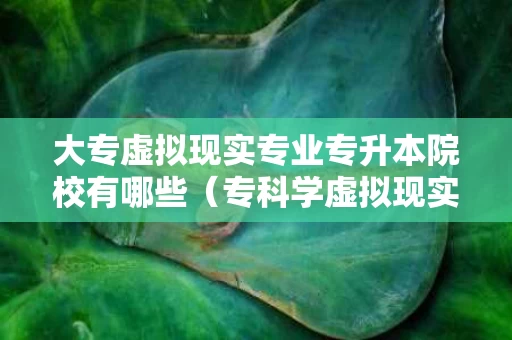 大专虚拟现实专业专升本院校有哪些（专科学虚拟现实技术怎么样）