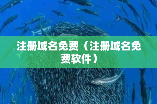 注册域名免费（注册域名免费软件）