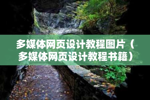 多媒体网页设计教程图片（多媒体网页设计教程书籍）