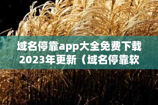 域名停靠app大全免费下载2023年更新（域名停靠软件）