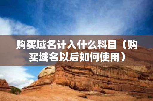 购买域名计入什么科目（购买域名以后如何使用）