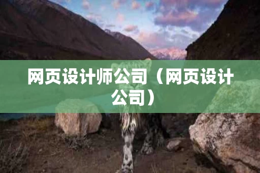 网页设计师公司（网页设计 公司）