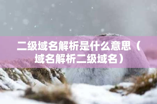 二级域名解析是什么意思（域名解析二级域名）