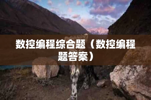 数控编程综合题（数控编程题答案）