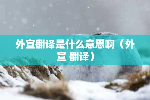 外宣翻译是什么意思啊（外宣 翻译）