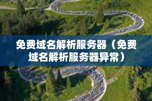 免费域名解析服务器（免费域名解析服务器异常）