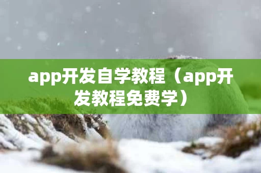 app开发自学教程（app开发教程免费学）