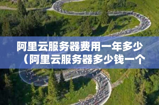 阿里云服务器费用一年多少（阿里云服务器多少钱一个月）