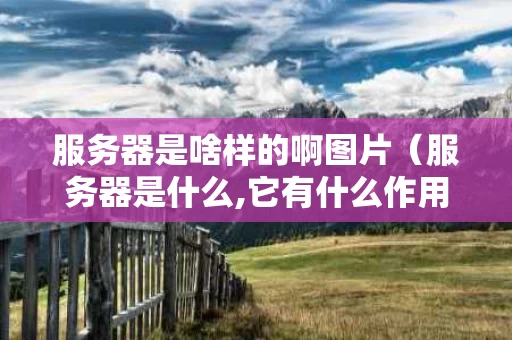 服务器是啥样的啊图片（服务器是什么,它有什么作用?）