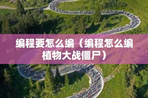 编程要怎么编（编程怎么编植物大战僵尸）