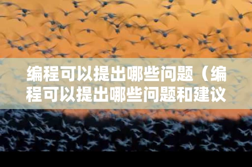 编程可以提出哪些问题（编程可以提出哪些问题和建议）