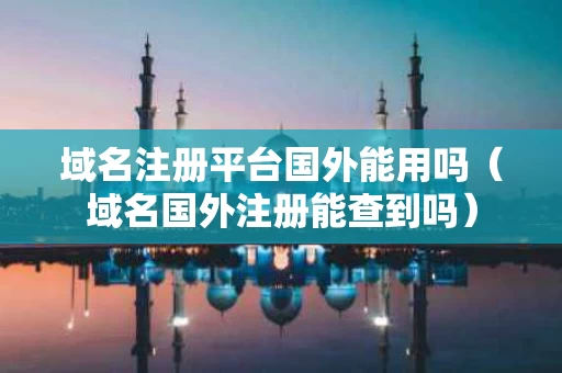域名注册平台国外能用吗（域名国外注册能查到吗）