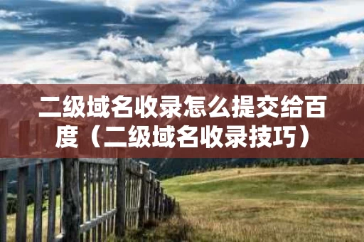 二级域名收录怎么提交给百度（二级域名收录技巧）