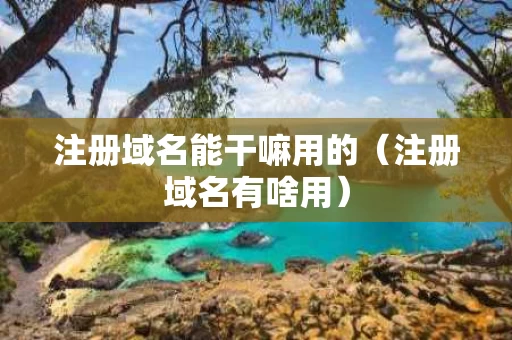 注册域名能干嘛用的（注册域名有啥用）