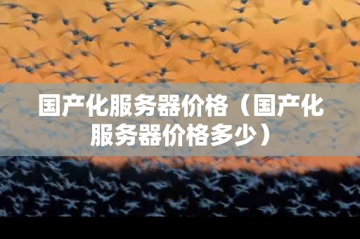 国产化服务器价格（国产化服务器价格多少）