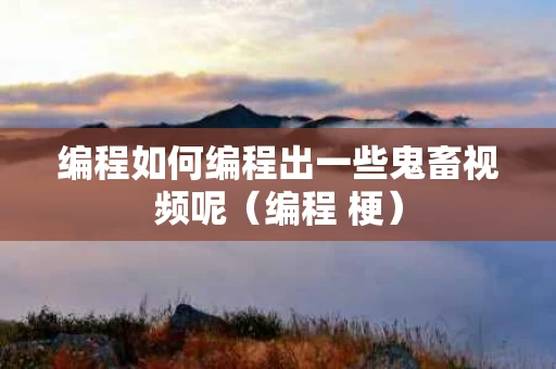 编程如何编程出一些鬼畜视频呢（编程 梗）