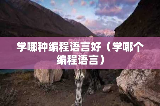 学哪种编程语言好（学哪个编程语言）