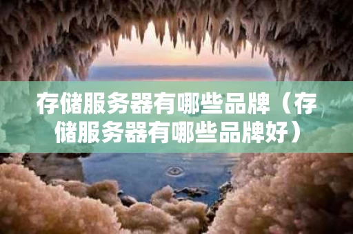 存储服务器有哪些品牌（存储服务器有哪些品牌好）