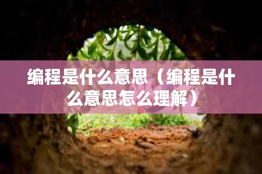 编程是什么意思（编程是什么意思怎么理解）