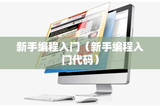 新手编程入门（新手编程入门代码）