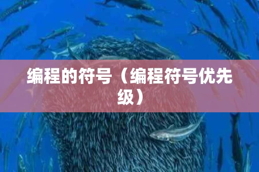 编程的符号（编程符号优先级）