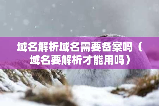 域名解析域名需要备案吗（域名要解析才能用吗）