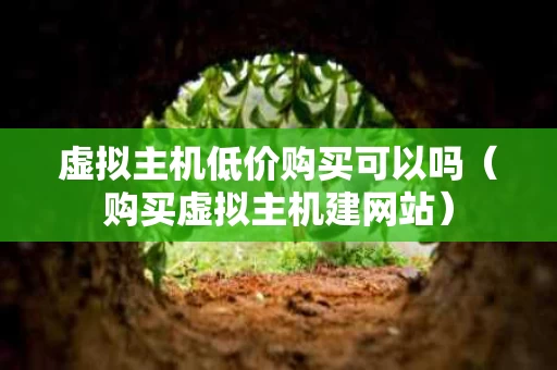 虚拟主机低价购买可以吗（购买虚拟主机建网站）