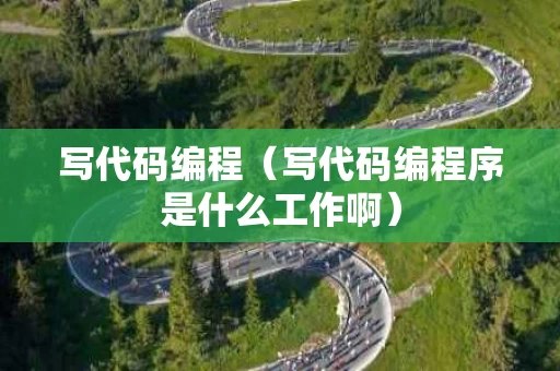 写代码编程（写代码编程序是什么工作啊）