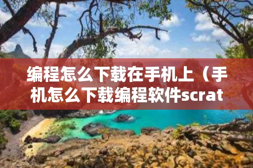 编程怎么下载在手机上（手机怎么下载编程软件scratch）