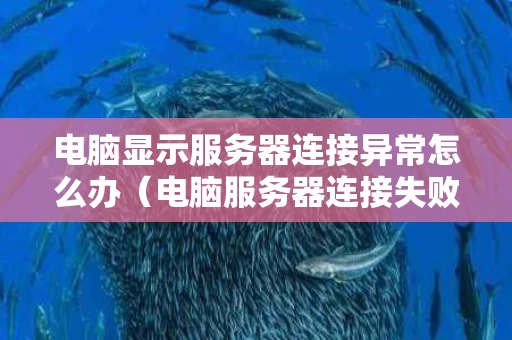 电脑显示服务器连接异常怎么办（电脑服务器连接失败是什么意思）