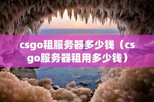 csgo租服务器多少钱（csgo服务器租用多少钱）